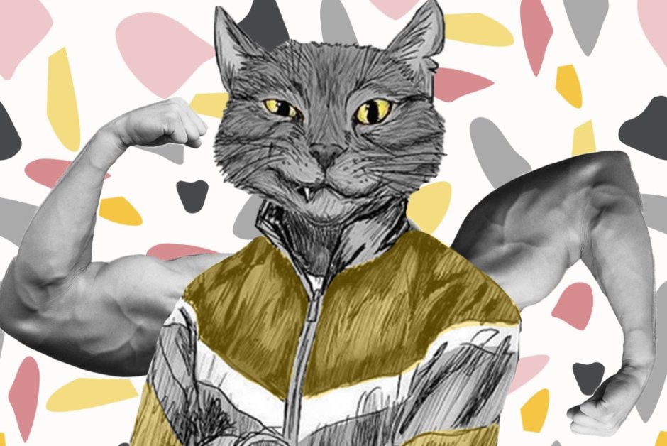 Накаченный кот
