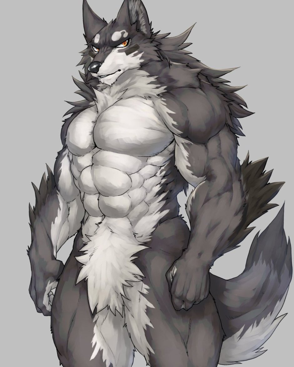 Кот качок