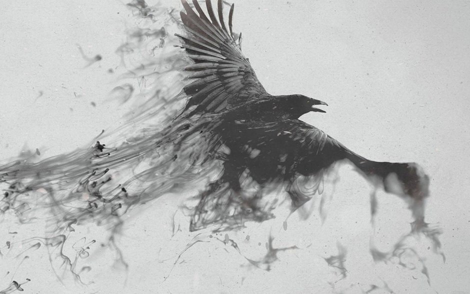 Вороны кружат