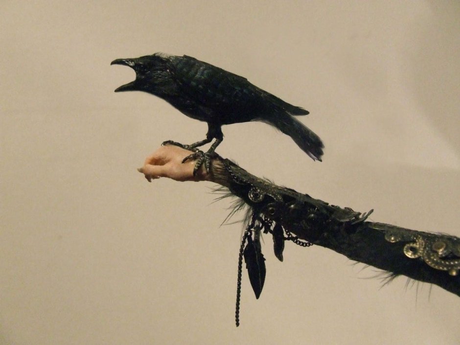 Черный ворон на ветке