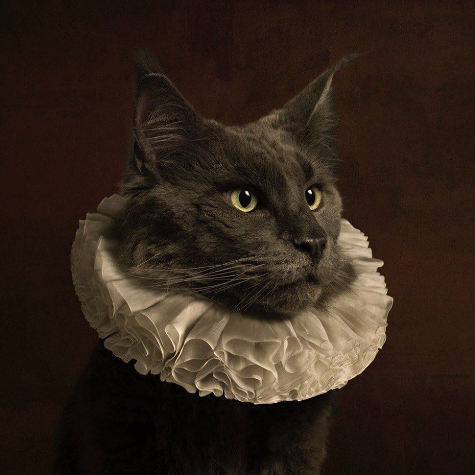 Marie Cecile Thijs коты