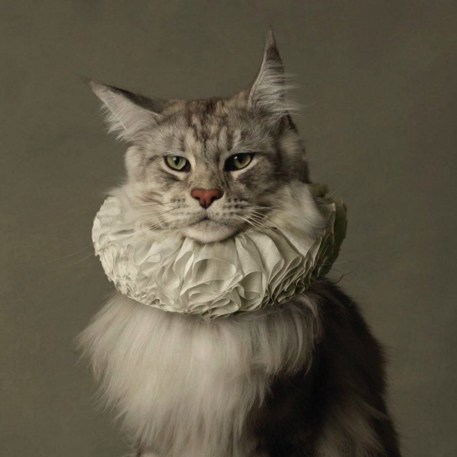 Фон с котятами для фотошопа