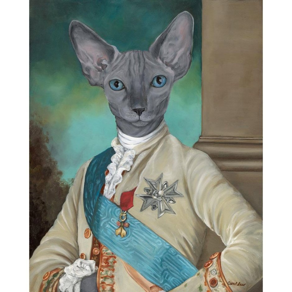 Кот в капюшоне