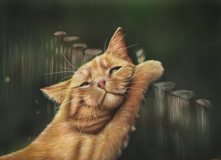 Котенок арт