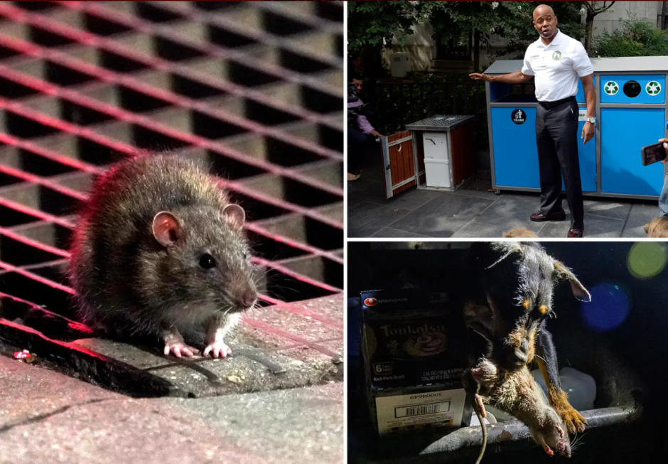 Крыса священник