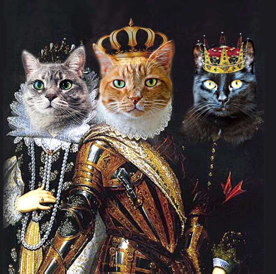 Кот в царской короне