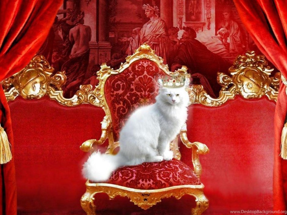 Кот на троне