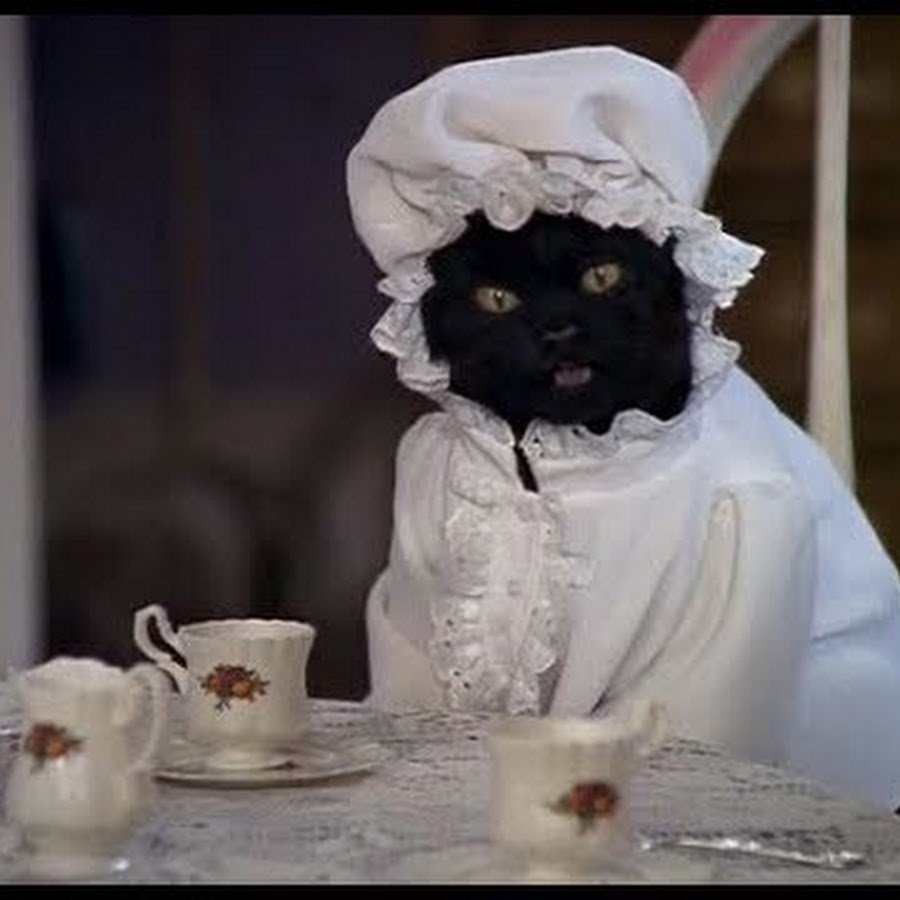 Сабрина маленькая ведьма кот Салем