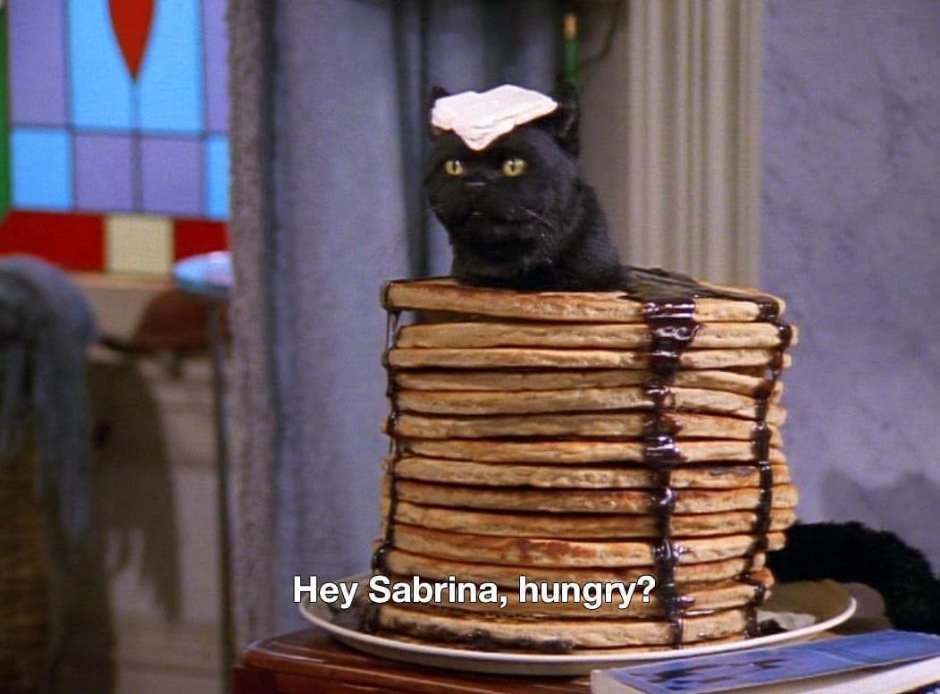 Сейлем кот Сабрина маленькая ведьма