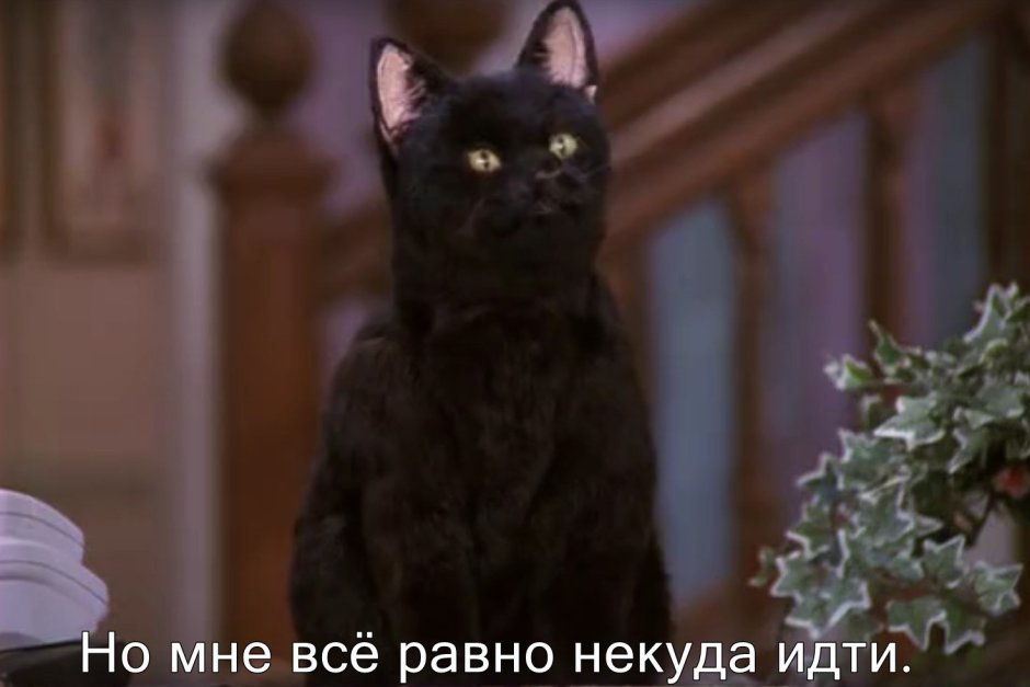 Сейлем Саберхаген