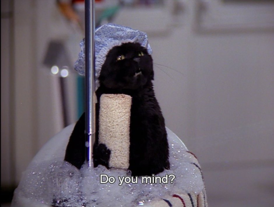 Сейлем кот Сабрина маленькая ведьма