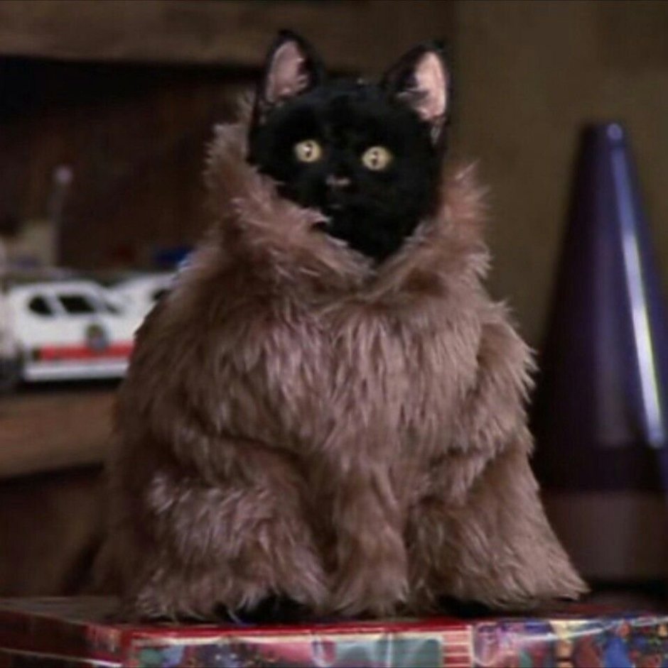 Кот Селим из Сабрина маленькая ведьма