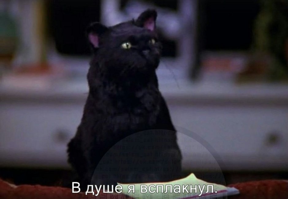 Сабрина маленькая ведьма Салем