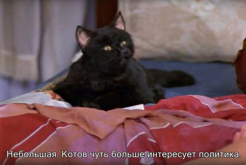 Сабрина маленькая ведьма кот Салем