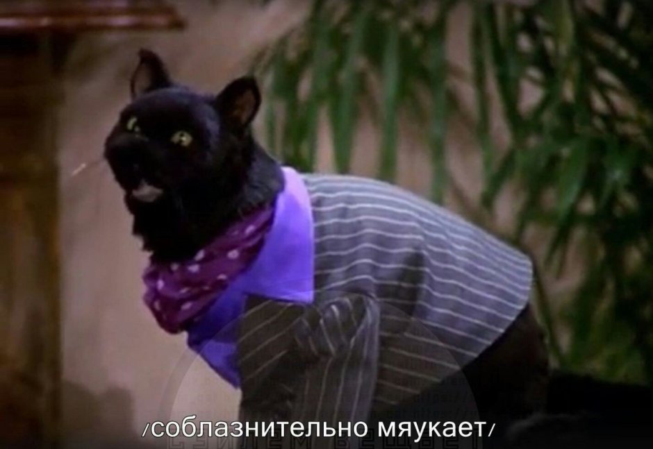 Очень страшное кино фильм 2 кот