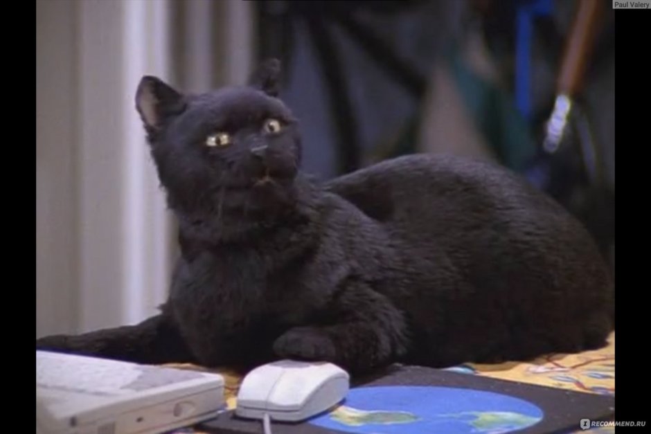 Сэйлем Сэйберхеген