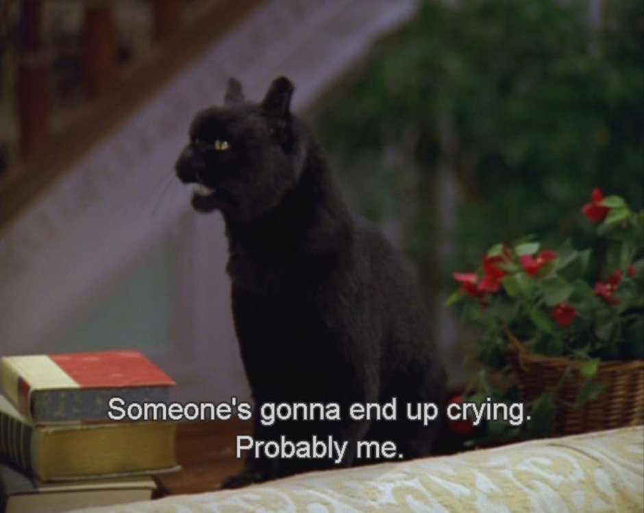 Селим кот из Сабрины