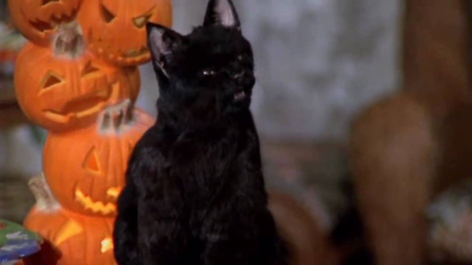 Сабрина маленькая ведьма Салем