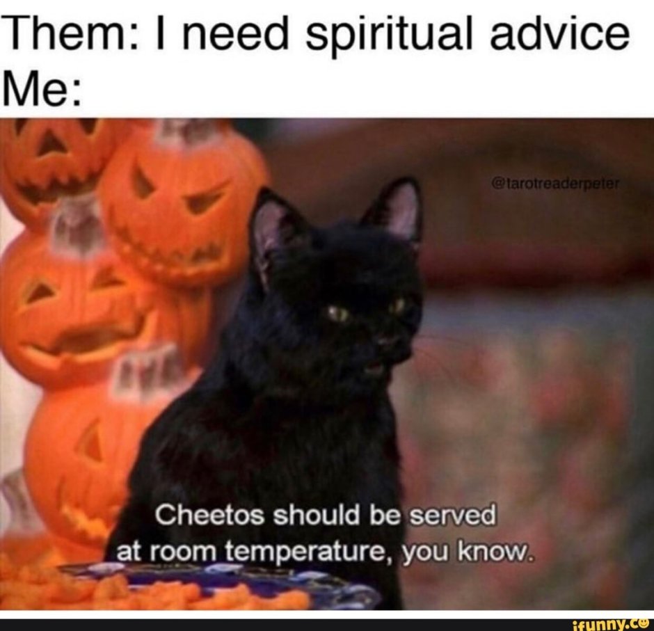 Сейлем кот Хэллоуин