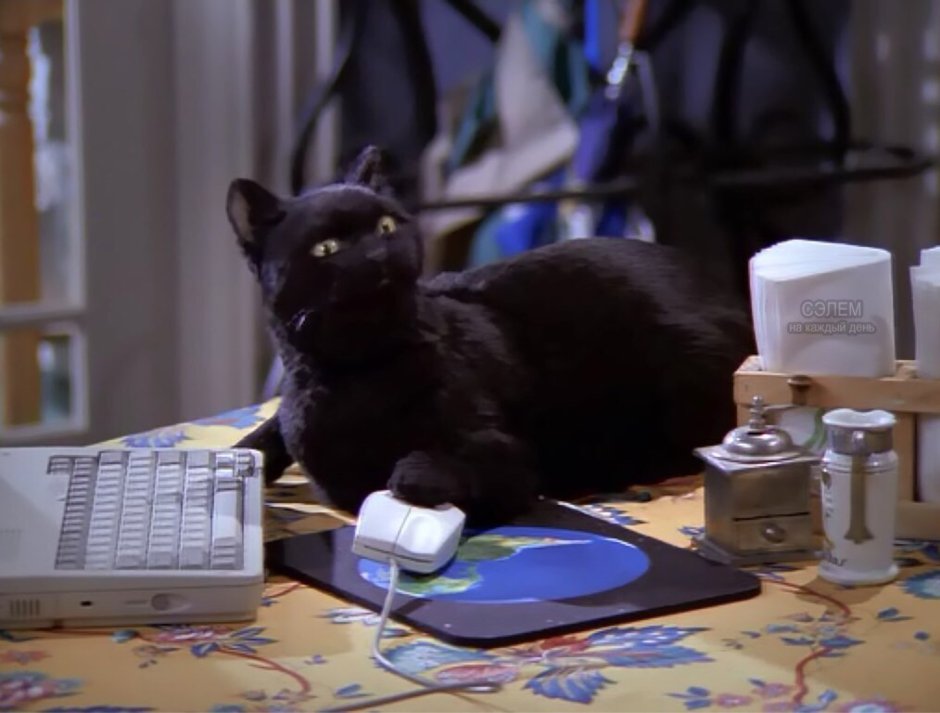 Селим Сабрина маленькая ведьма