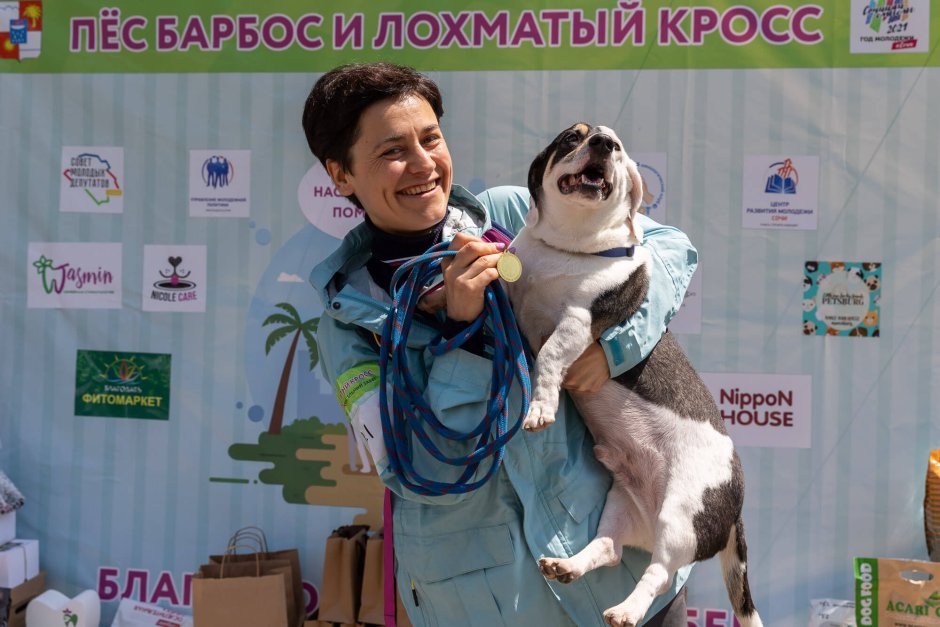 Мультфильм Бобик в гостях
