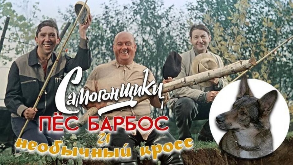 Смешные собаки