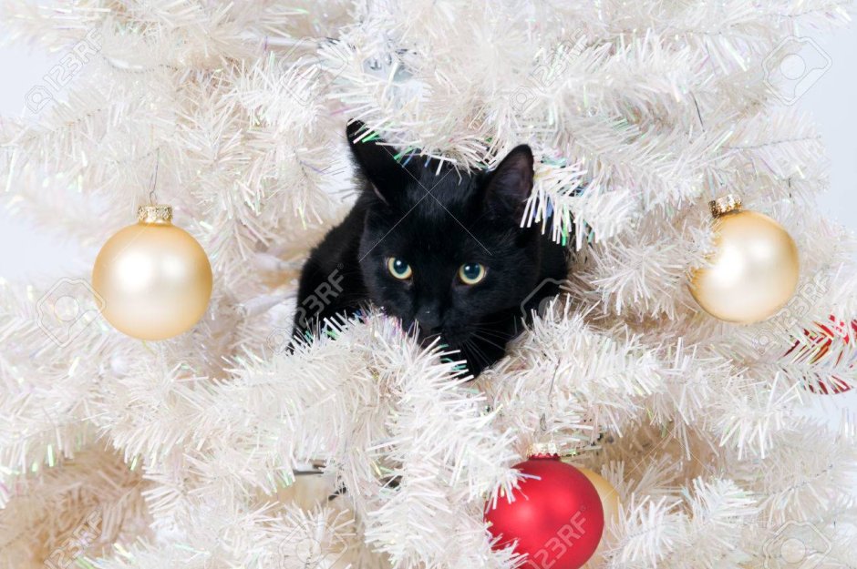 Новогодний черный кот