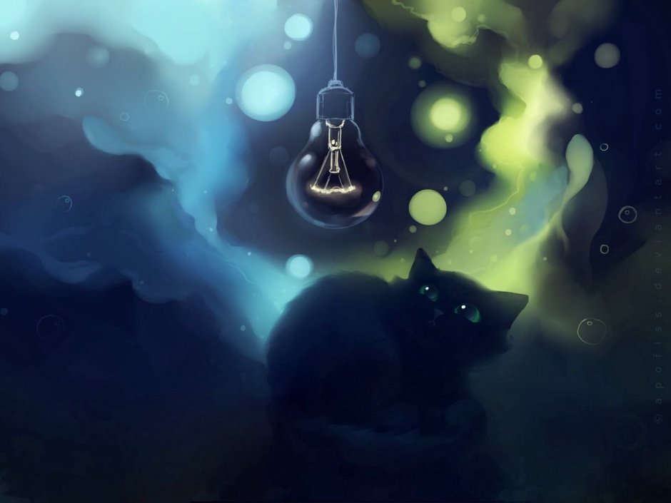 Кот с фонариком