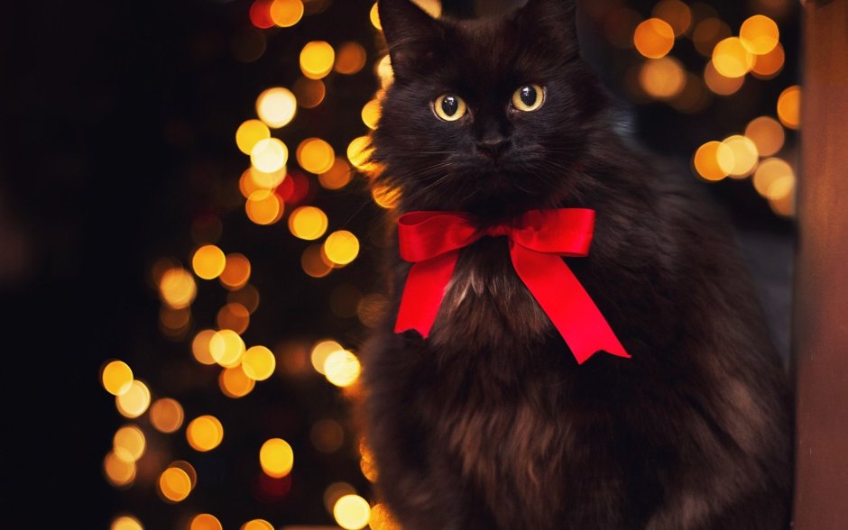 Новогодний черный кот