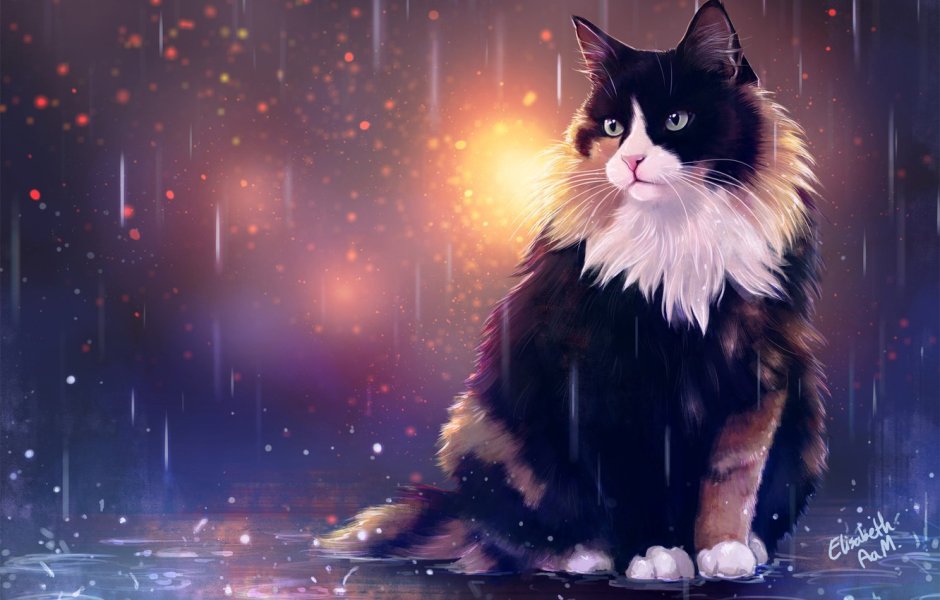 Котики арт