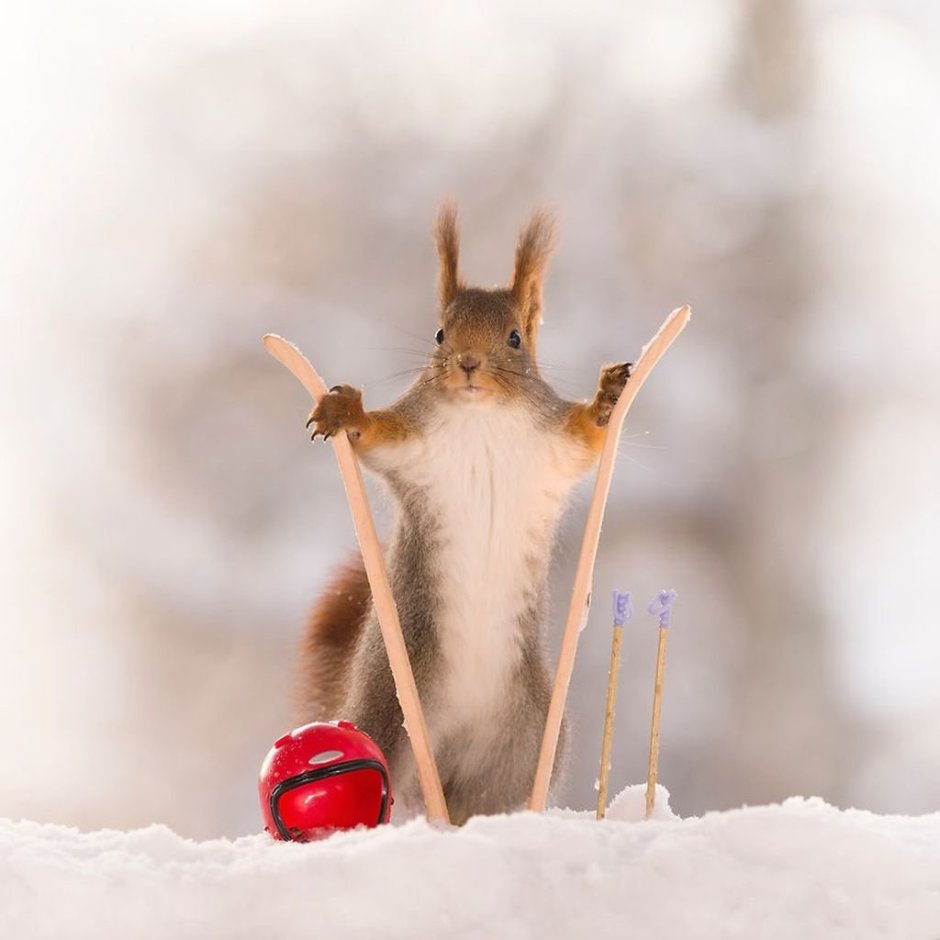Февраль природа