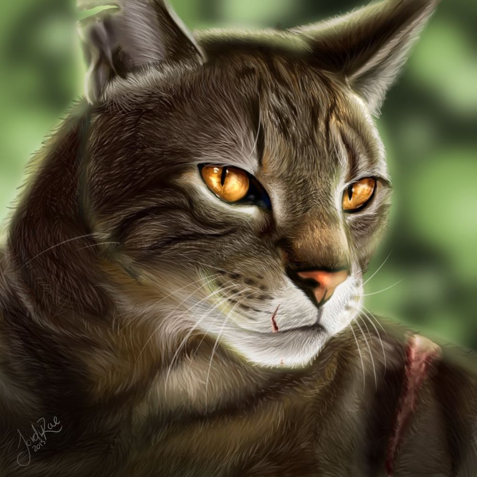 Кошка с карими глазами