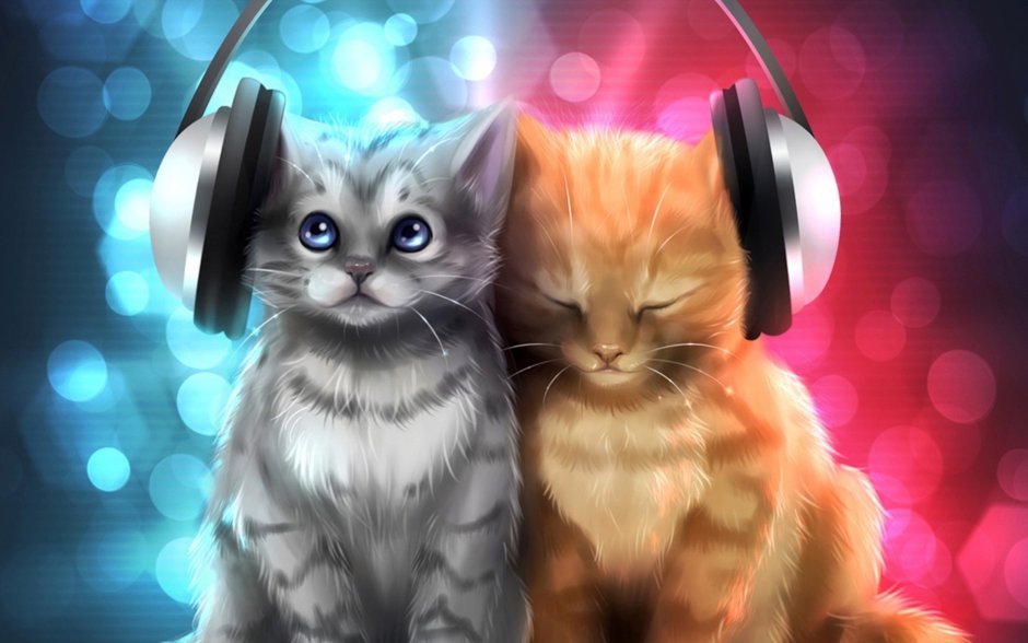 Коты и кошки