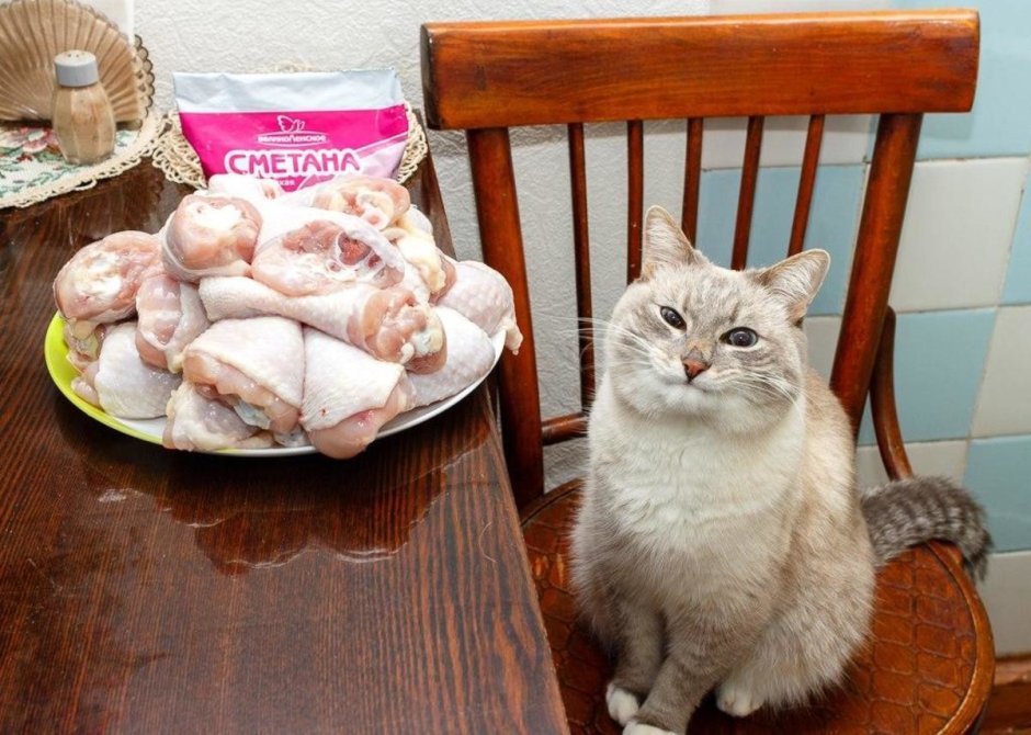 Кот ворует со стола