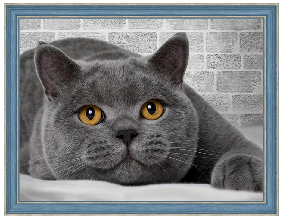 Британская кошка