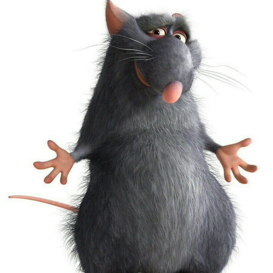 Крысы подружки