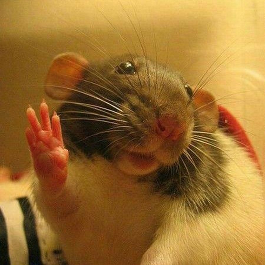 Два мышонка