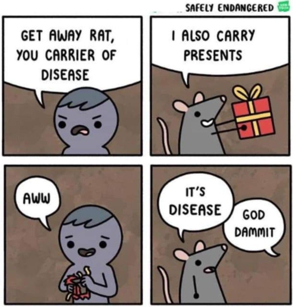 Хомяк в одежде