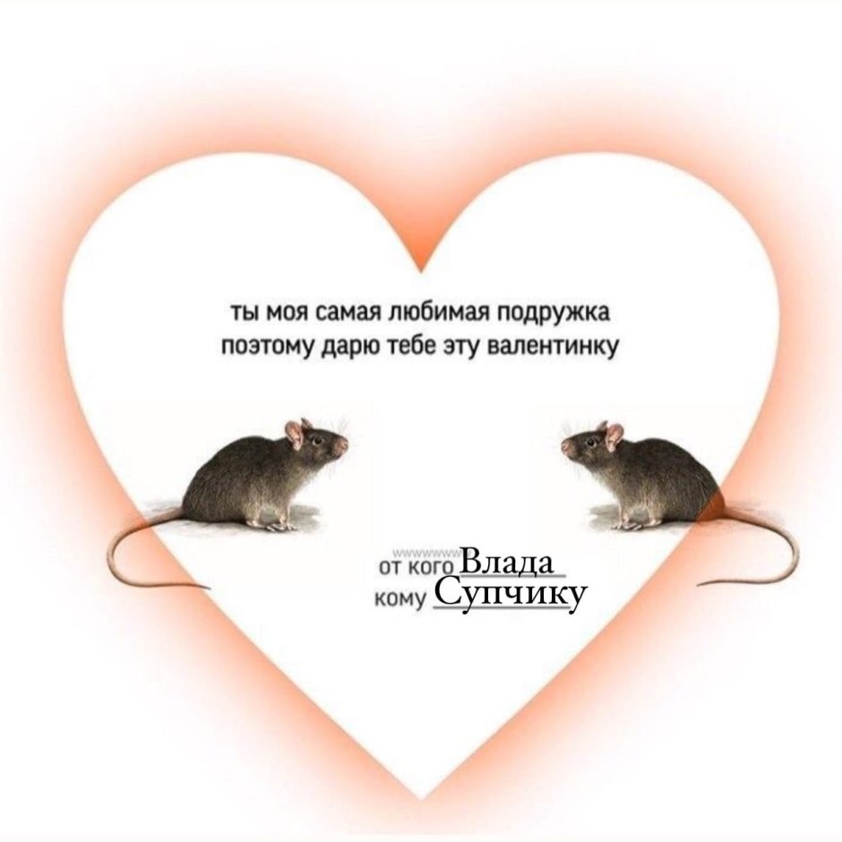 Обиженная крыса