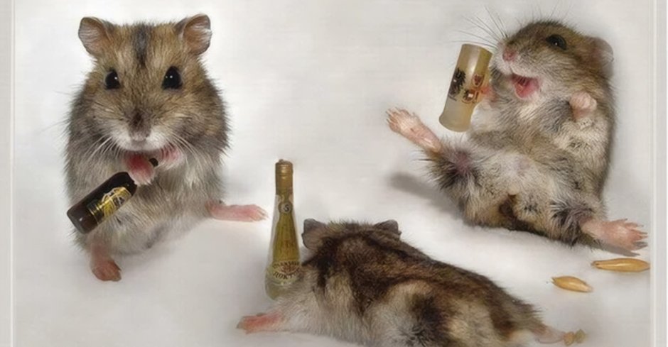 Хомяк с очками