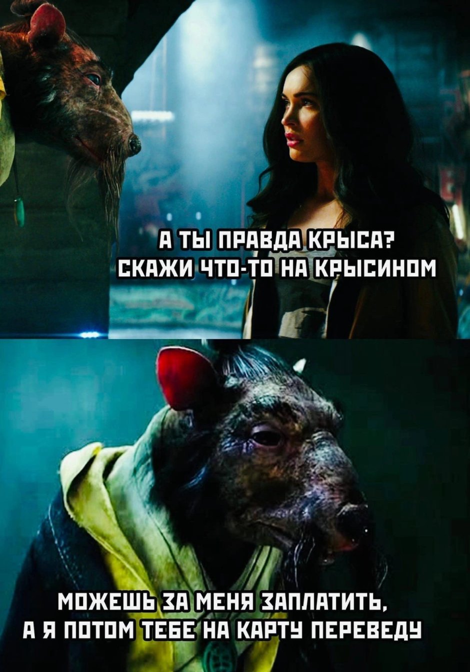 Мемы с котами и крысами