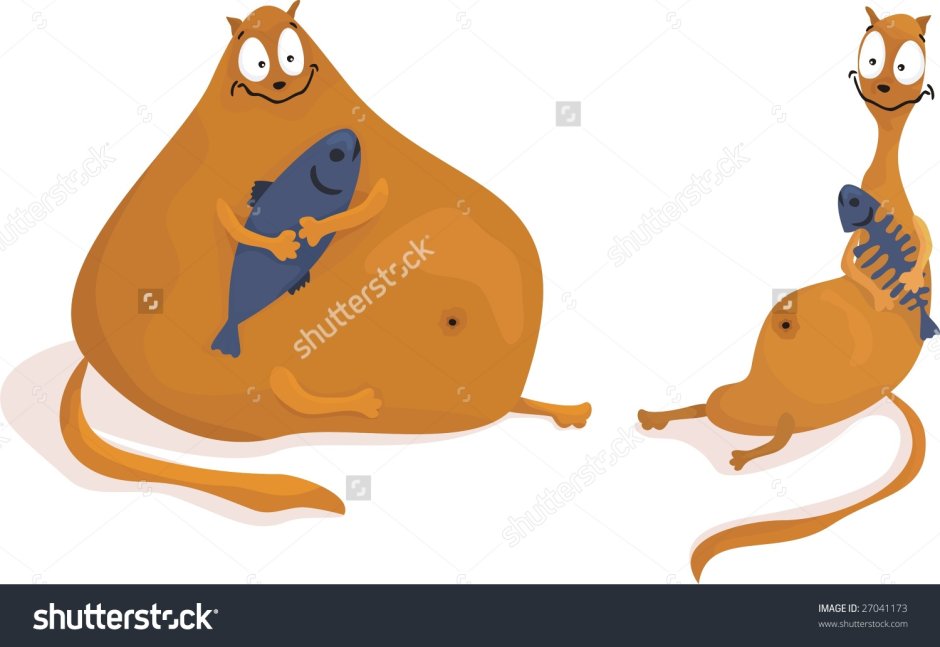 Толстый и худой кот