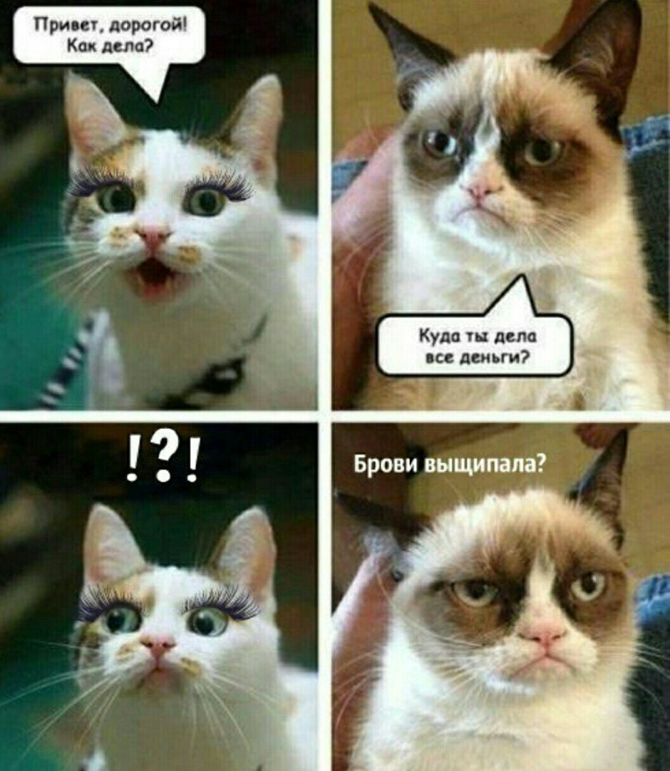 Кошка соус тартар фото