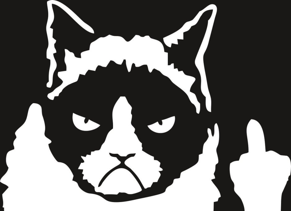 Очень недовольный кот