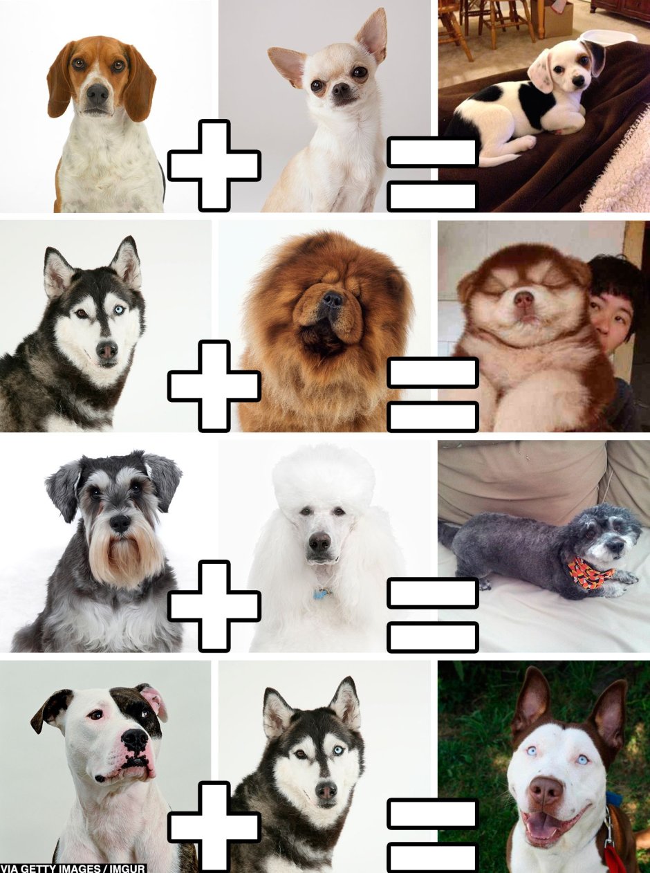 Смешанные породы