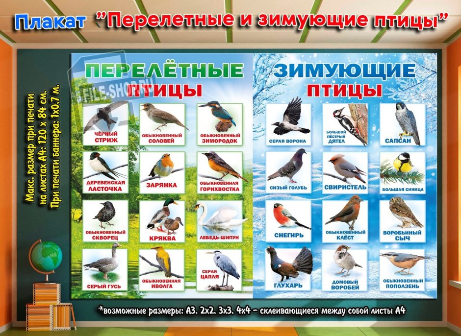 Птицы Южного Урала лазоревка