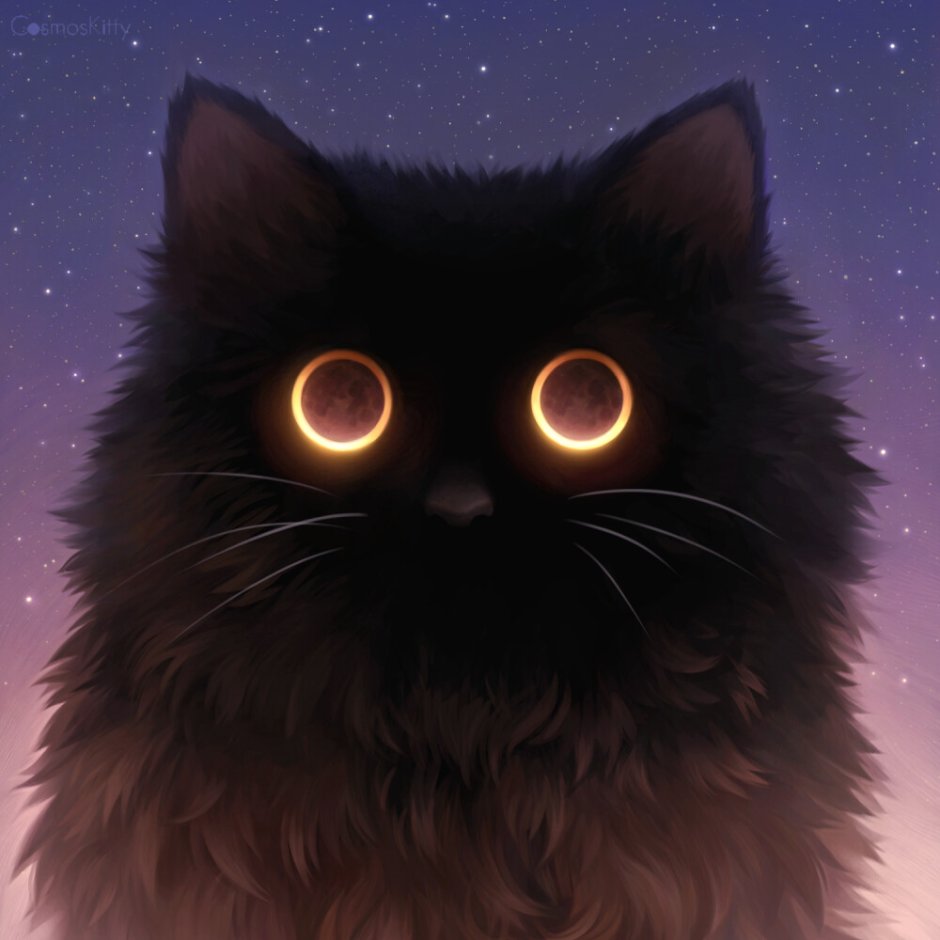 Лохматый котенок