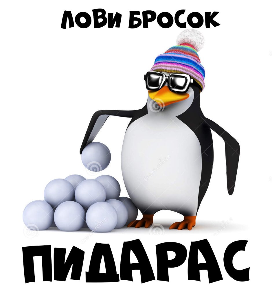 Пингвин с камерой Мем