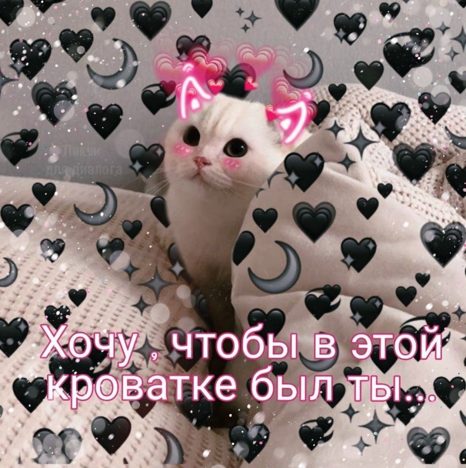 Спокойной ночи котики с сердечками