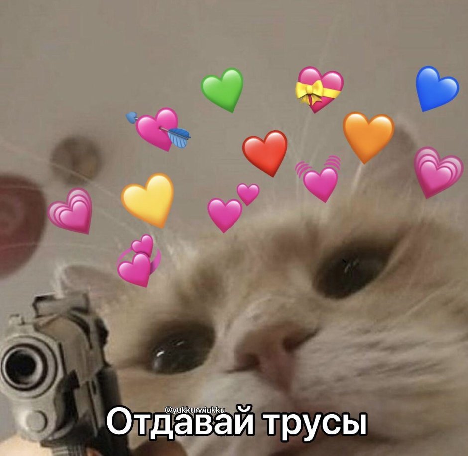 Белый и черный котики любовь